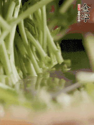 新鮮豌豆苗割下洗凈。